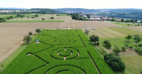 Drone aerial of corn maze crow- high elevation Stock Footage 90495255