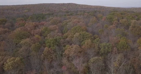 Drone Aerial of Fall Autumn Trees in 4K Stockbeeldmateriaal 85902593