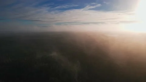 Drone aerial flight over the clouds in the forest through the fog Stock Footage 169843587
