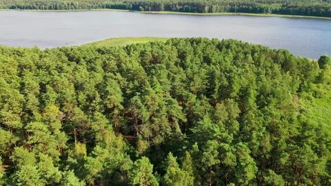 Drone aerial flight over the the forest near the lake Stockbeeldmateriaal 169869937
