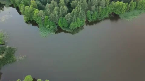 Drone aerial flight over the forest island. Lake reflection Stock Footage 170128617