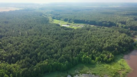 Drone aerial flight over forest, islands and swamp. Skies reflection Stock Footage 170128976