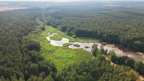 Drone aerial flight over forest, islands and swamp. Skies reflection Stock Footage 170129035
