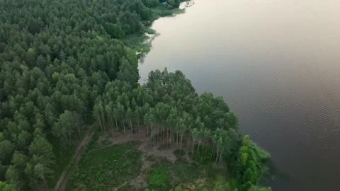 Drone aerial flight over the forest island. Lake reflection Stock Footage 170139512