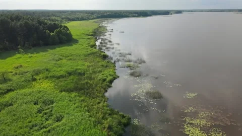 Drone aerial flight top view over the coast and swamp Stockbeeldmateriaal 170129072