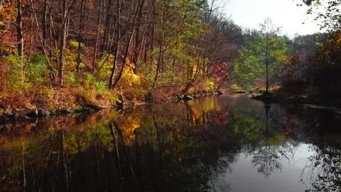 Drone Aerial Float Over Reflective Autumn River Slow Motion Stock Footage 143012578
