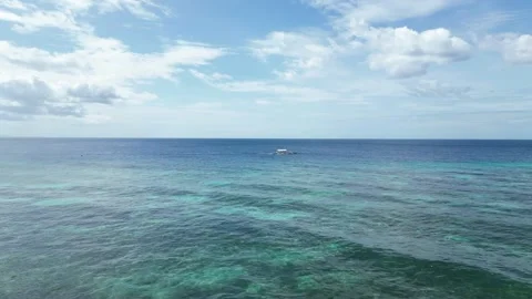 Drone Aerial Fly Through Tree into Open Beautiful Ocean Sea with Crystal Vidéo 239364610