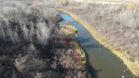 Drone aerial flying above a leafless autumn forest and a rocky river. /grass Stock Footage 340990669