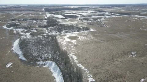 Drone aerial flying high above a spring leafless spring forest and farmland with Stock Footage 306701255