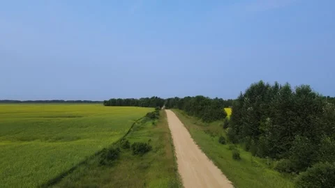 Drone aerial flying low above a gravel farm road that is surrounded by trees and Stock Footage 340990738