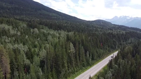 Drone Aerial Horizontal Down Nature Shot Highway &amp; Trees British Columbia Canada Stock Footage 248904403