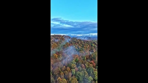 Drone aerial hyperlapse of fog dissolving over a hill with trees and foliage Stock Footage 317834502