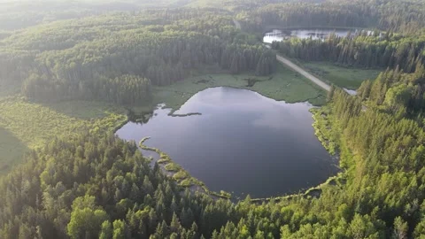 Drone aerial looking down at a small park lake as mist rises surrounded by a Stock Footage 326831163