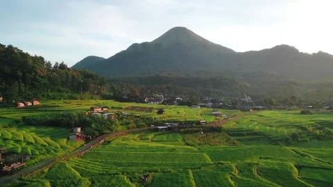 Drone Aerial Mountain, Rice Fields, and Village in the Morning Stock Footage 317634329