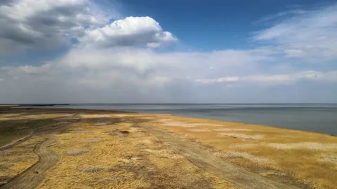 Drone aerial moving forward above dry spring grass and reeds next to a lake Stock Footage 234579503