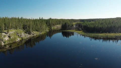 Drone aerial moving forward over a calm lake surrounded by boreal forest.  Stock Footage 222019498