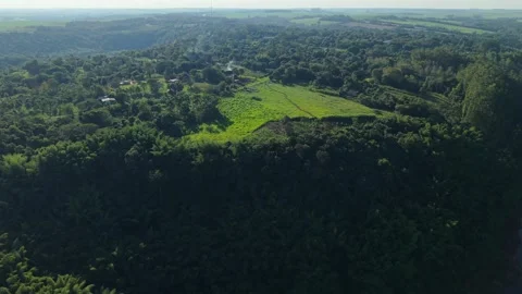 Drone aerial over Atlantic Forest clearing and farmland in Misiones Argentina Stock-Footage 334746069