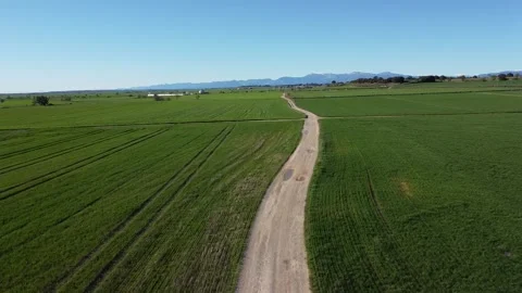 Drone Aerial Over Green Fields Stock Footage 331464163