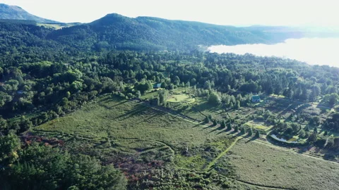 Drone aerial over Hogsback and forests in the Eastern Cape, South Africa. Stock Footage 237224238