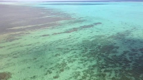Drone aerial panning down over a blue coral reef in New Caledonia Stock Footage 319059059