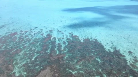 Drone aerial panning down over a crystal clear water in New Caledonia Stock Footage 319059272