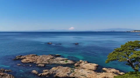 Drone, Aerial, Pine Tree, Mt Fuji, Ocean, Rocky Coast Video stock 328709874