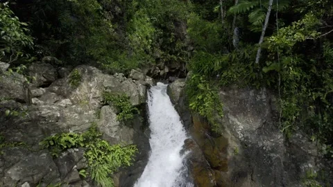 Drone aerial of pristine and wild natural Tavoro waterfall in Fiji Stock Footage 206903025