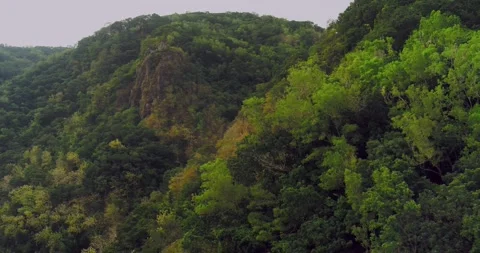 Drone aerial of river flowing through foggy tropical forest at sunrise Stock-Footage 332885603
