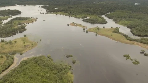 Drone aerial shot of Amazon River in Amazon Rainforest near Manaus Stock Footage 106811070