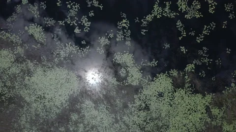 Drone aerial showing light reflected in lake. Stock Footage 169586633