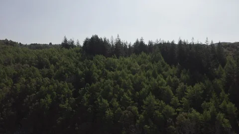 Drone Aerial of Suilven Vídeo Stock 106930315