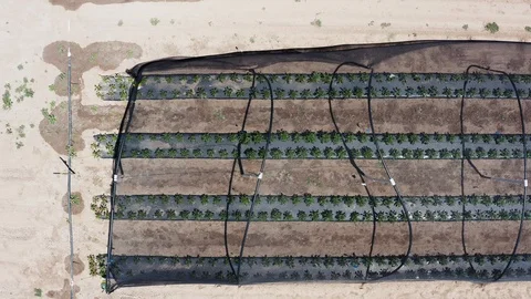 Drone aerial of sun shade structure over crops on farm Stock Footage 121032394