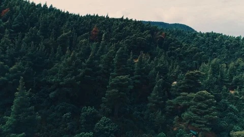 Drone aerial tilt down shot over green peaks trees overlooking mountain peaks Stock Footage 117483370