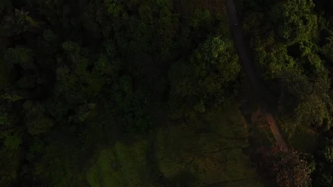 Drone Aerial top down shot of forest hill road - touristic Ubud Campuhan walk Stock Footage 115032401