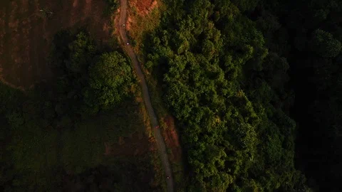 Drone Aerial top down shot of forest hill road - touristic Ubud Campuhan walk Stock Footage 115032768