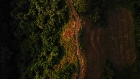 Drone Aerial top down shot of forest hill road - touristic Ubud Campuhan walk Stock Footage 115033402