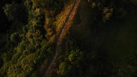 Drone Aerial top down shot of forest hill road - touristic Ubud Campuhan walk Stock Footage 115034547