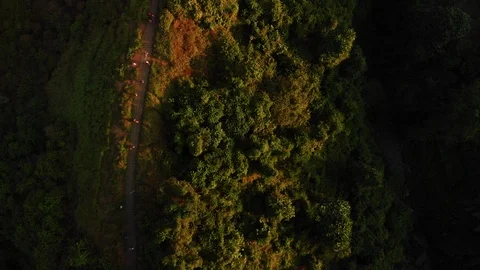Drone Aerial top down shot of forest hill road - touristic Ubud Campuhan walk Stock Footage 115035302
