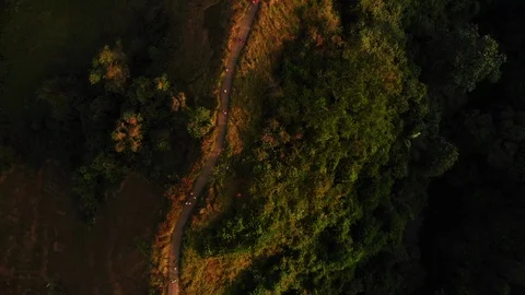 Drone Aerial top down shot of forest hill road - touristic Ubud Campuhan walk Stock Footage 115035697