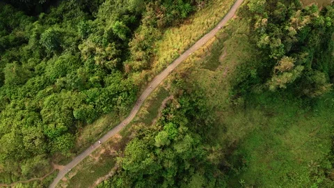 Drone Aerial top down shot of forest hill road - touristic Ubud Campuhan walk Stock Footage 115047223