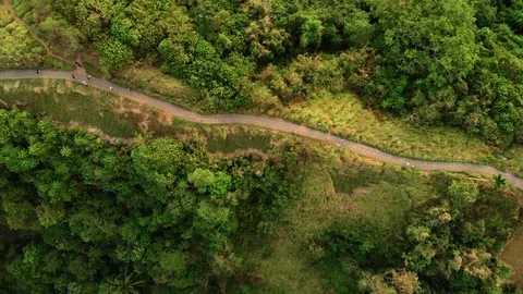 Drone Aerial top down shot of forest hill road - touristic Ubud Campuhan walk Stock Footage 115047500