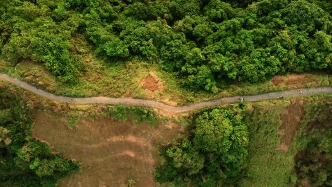 Drone Aerial top down shot of forest hill road - touristic Ubud Campuhan walk Stock Footage 115047779