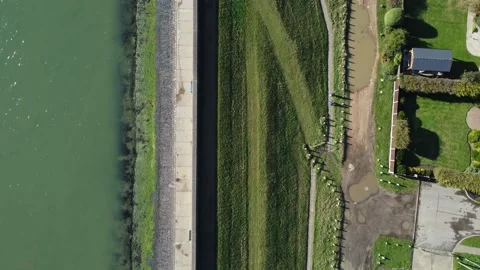 Drone aerial top down shot of people walking on a path next to green grass Stock Footage 164356415