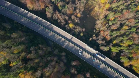 The drone aerial top view of thick forest in autumn with highway cut through Vídeos de archivo 295104748