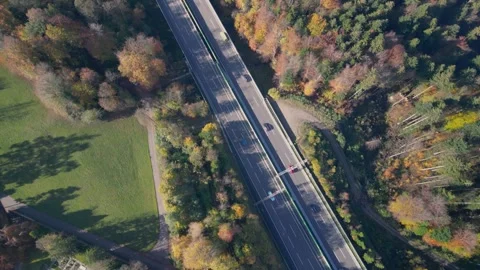 The drone aerial top view of thick forest in autumn with highway cut through Stock-Footage 295104882