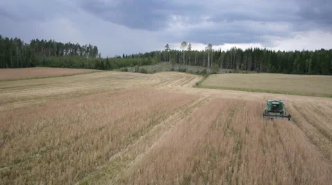 Drone aerial tracking view of spelt harvesting in Finland Stockbeeldmateriaal 45611573
