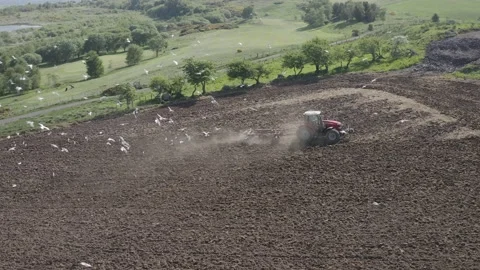Drone Aerial of Tractor Plowing Stock-Footage 131875411
