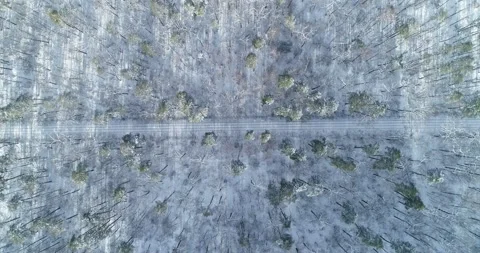 Drone. Aerial. Train going  white winter forest. Vidéo 150979526