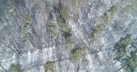Drone. Aerial. Train going  white winter forest. Stock Footage 150979770