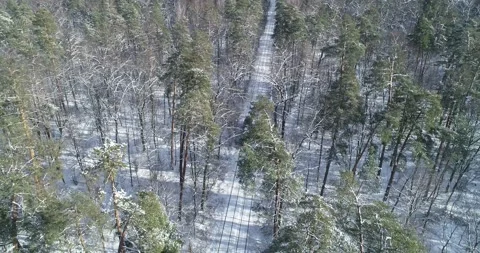 Drone. Aerial. Train going  white winter forest. Vídeo Stock 150980911